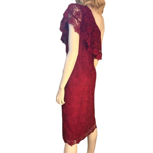 Nanette Lepore Sheath Dress Embroidered All Over Lace Cranberry Red One Shoulder - Picture 7 of 14